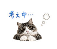 841409705