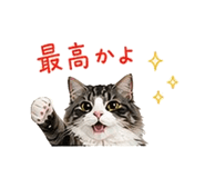 841409706