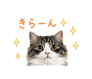 841409707