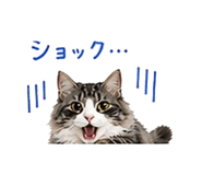 841409708