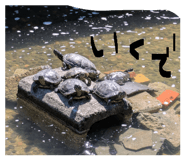 841410788