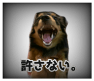 841411807