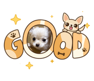 841411866