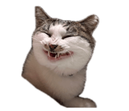 841412219