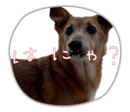 841412815