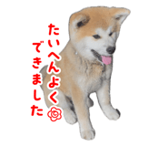 841412821