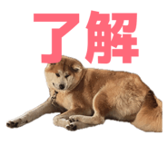 841412822