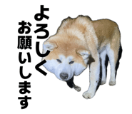 841412828