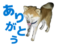 841412832