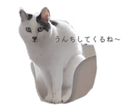 841413027