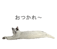 841413029