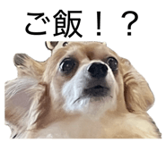 841414066