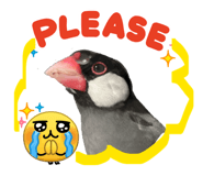 841414155