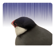 841414156