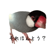 841414157
