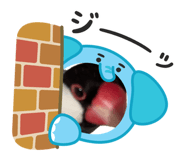 841414159