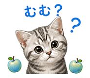 841414497