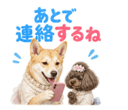 841414584