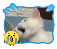 841414724