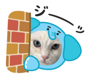 841414732