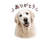 841414889