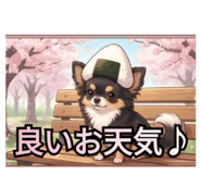 841415167