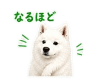 841415976