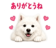 841415983