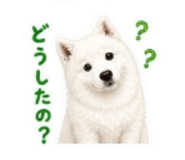 841415991