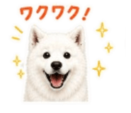841415999