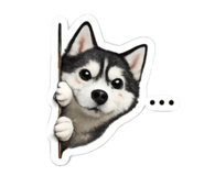 841416299
