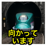 841416546