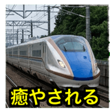 841416559