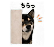 841416632