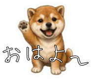 841416773
