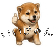 841416777