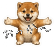 841416781