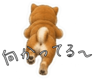 841416785