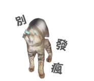 841418938