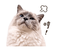 841419910