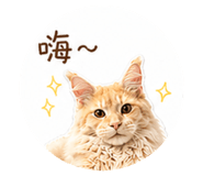 841420262