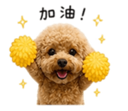 841420337