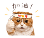 841421133