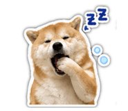 841421142