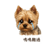841421322
