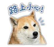 841421701