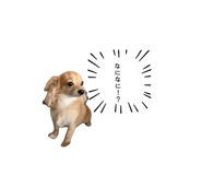 841421726