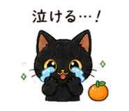 841421823