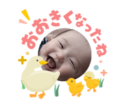841421981