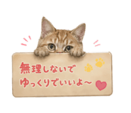 841422183